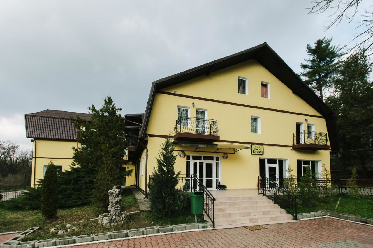 Отель Hotel Dobsi Базна-5